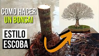 3 years of work summarized in 5 minutes! | How to make a hokidachi broom-style elm bonsai