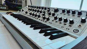 Ambient Explorations pt.18 (Moog Subsequent 37 CV)