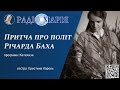 Ми будемо вільними, ми навчимося літати! Надихаюча притча про політ Річарда Баха