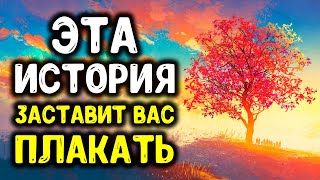 Эта история заставит Вас ПЛАКАТЬ!!!