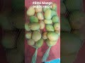#Bitki Mango available - Order now : 9607078620