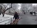 Most Beautiful Snowy trees in the world/ NYC