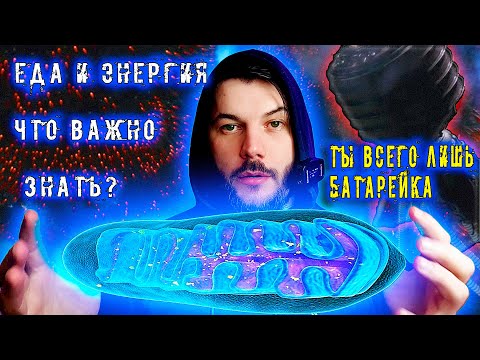 Дефицит или профицит калорий для набора мышечной массы: настоящая правда