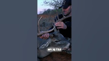 Will he finally break an arrow?  #altraarrows l #levimorgan