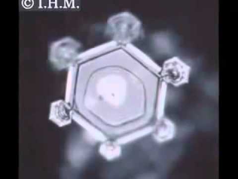 Dr. Emoto Water and Thoughts.mp4