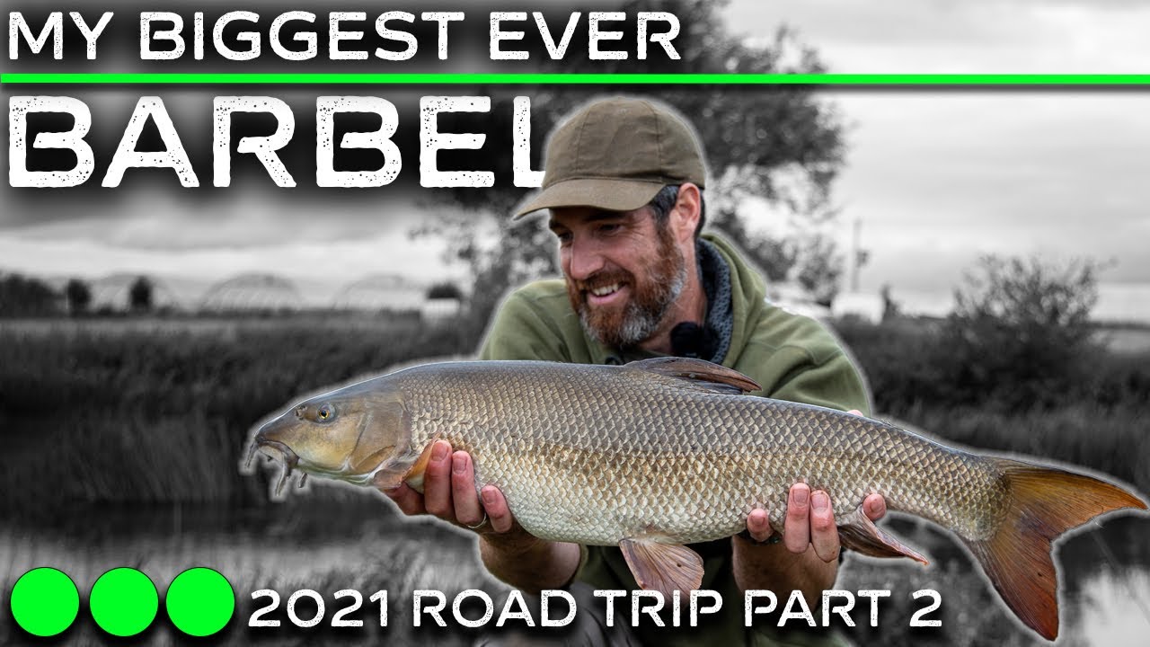 Barbel Fishing on The River Avon, Monster Barbel (2021 Road Trip Part 2