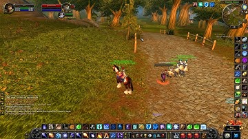 Unkillable bug in Stormwind