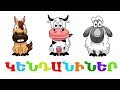 ԸՆՏԱՆԻ ԿԵՆԴԱՆԻՆԵՐ |  BoPo kids TV