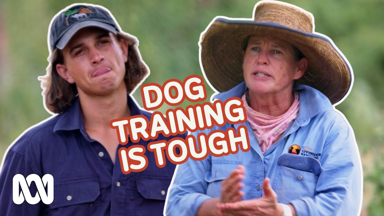 Muster Dogs experts show working dogs who's boss