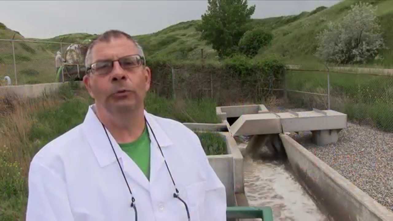 City of Lethbridge's Wastewater Process Extended Version YouTube