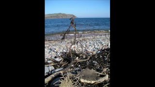Flickr Meet at Cromarty