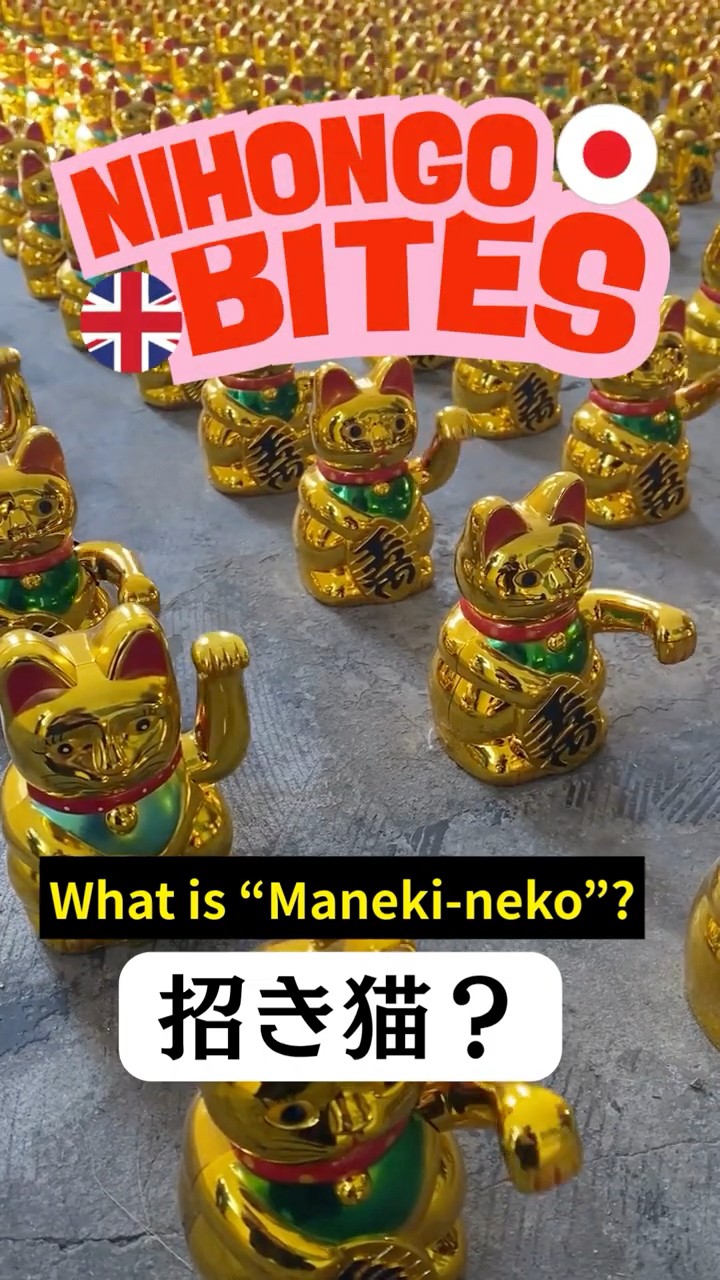 🎌 🐱「招き猫」は英語で？ What is 
