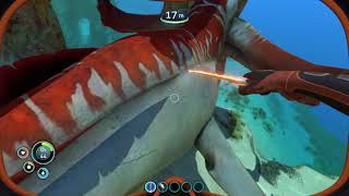 Killing A Reaper Leviathan Without Stasis Rifle