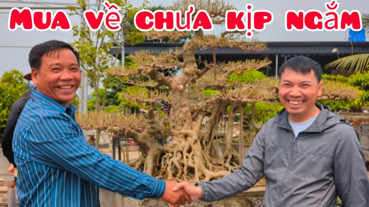 Bỏ ra hơn 2 tỷ mua toàn tác phẩm xuất sắc và chú em lần đầu làm chuyện ấy với tp nhiều trăm