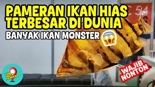 Crazy! This is the MONSTER FISH at the NUSATIC 2025 EXHIBITION! 😱🔥