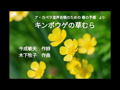 キンポウゲの草むら（木下牧子・作曲）【DTM音源】