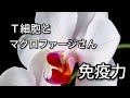 ほんとの健康。見た目年齢を若くする。