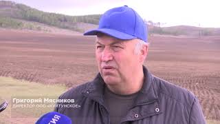 Сельское хозяйство Республики Бурятия (видео на русском языке)