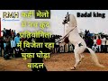 Marwari horse||काई मेला में विजेता बनना बादल किंग घोड़ा, मीनार औरन जितेंद्र भाई मेनारिया।