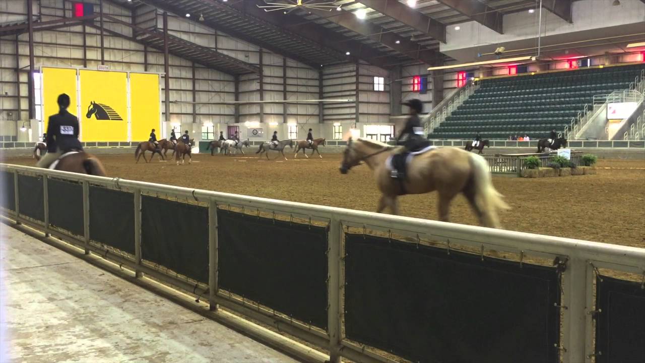 Field Hunter DivisionJust Horsin' Round Show Williamston, NC YouTube