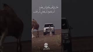 ايها المفاخر جهلا بالنسب بصوت حمدي ميارة.