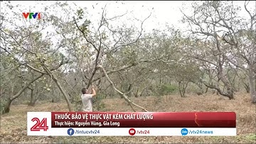 Thuốc bảo vệ thực vật kém chất lượng | VTV24