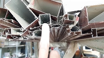 Học nhận biết các loại cây nhôm thường(nhôm cỏ)