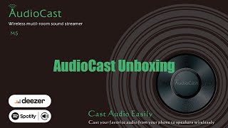 Audiocast M5 Unboxing