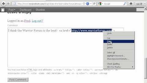 Internet Marketing Series - Video 18 -  How to Leave A Blog Comment & Create A Backlink to Your Site