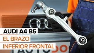 Cómo cambiar Barra oscilante de suspensión de ruedas AUDI A4 Avant (8ED, B7) - vídeo guía