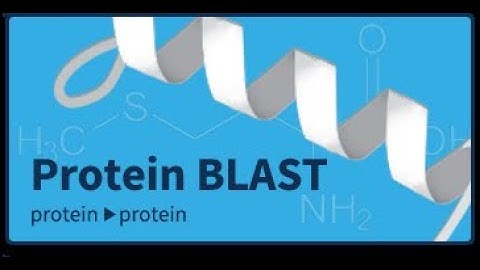 Sal and Katie read paper on Nuclear Localization Signals, Katie learns NCBI BLAST