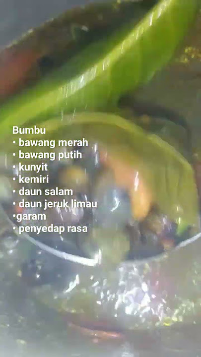 MASAK TUTUT SAWAH PALING ENAK #reseptutut #tutut #tututsawah #keong #viral #fyp #shorts