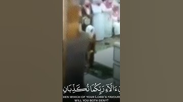 تلاوه قديمه للشيخ أ.د. #ياسر_الدوسري #quran #اكسبلور #قران #القران_الكريم #تلاوة #ياسر_الدوسرى #قرآن