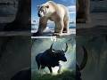 The ultimate battle on land! (Bears vs Cows)