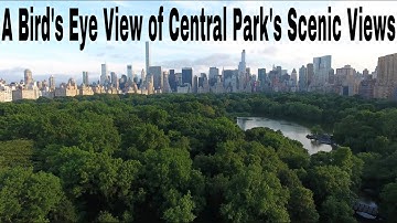 NYC Central Park Aerial Drone Tour: Summer Flight Over the Pond and Trees for Stunning Views