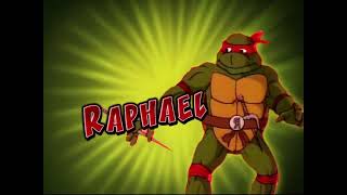 Teenage Mutant Ninja Turtles Dvd Ad