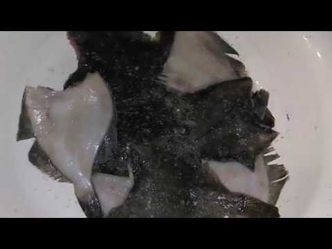 Как засолить и завялить камбалу приготовление тефтелей