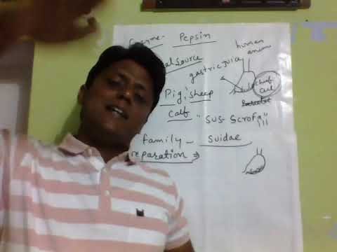 ASHOK SIR SCPS LEC _07_ENZYME_PEPSIN