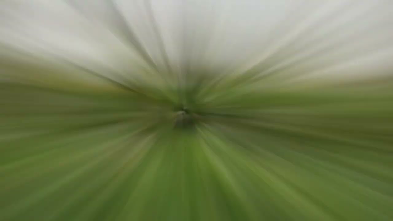 Grow Room Files 5