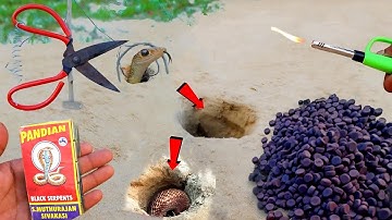 Different Types Of Snake Cracker Testing Videos || Cracker Videos 2025 || ये क्या हो गया पॉप पॉप को?