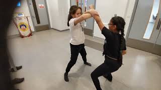 Kung Fu Girls Training Chin Na Northern Praying Mantis Kung Fu Sifu Bryan