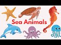 Sea Animals | Learn Sea Animals in English with Pictures | Kids vocabulary English educational video