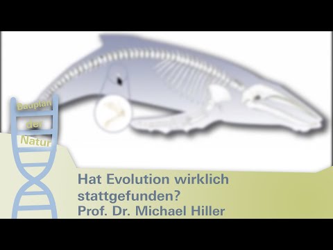 Video: Wie unterstützen Überbleibselstrukturen die Evolutionstheorie?