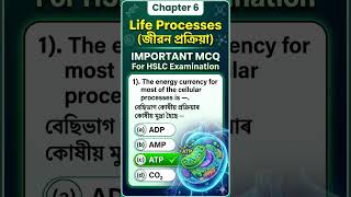 Life Process। Important MCQ For HSLC Exam।MCQ HUB।