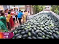 TMKOC Big Mistake | Have you notice this Thing in Watermelons Story ?