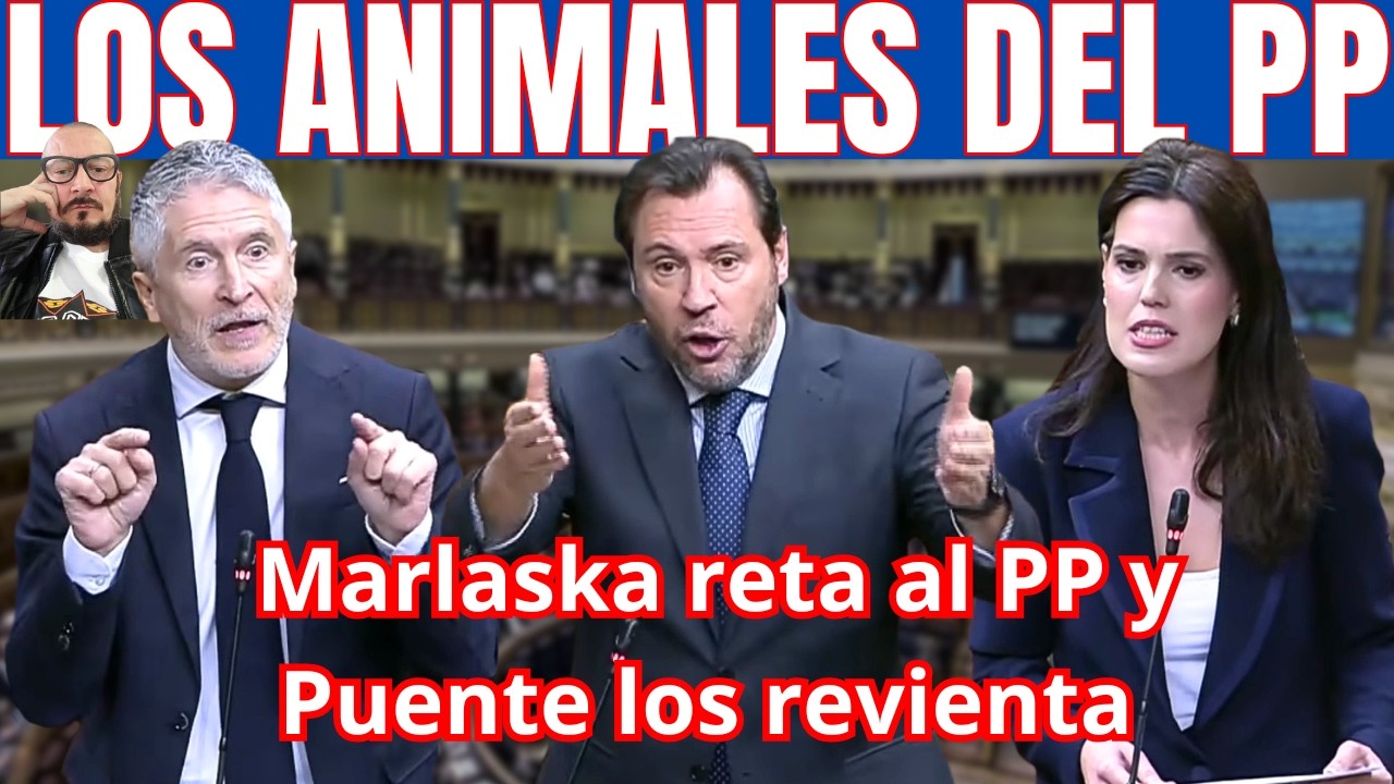 💥ANALIZANDO la BRONCA en el CONGRESO entre MARLASKA y PUENTE contra las ...