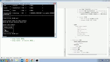 Java语法 485 DDL 操作表 删除