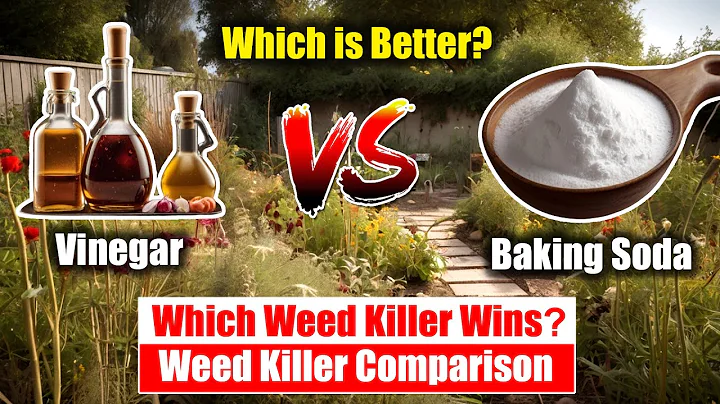 Vinegar vs Baking Soda Weed Killer Comparison: Which Natural Solution Wins?