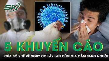 Tiềm Ẩn Nguy Cơ Lan Cúm Gia Cầm Sang Người, Bộ Y Tế Khuyến Cáo 5 Biện Pháp Phòng Bệnh | SKĐS