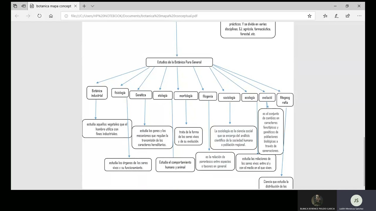 Mapa Conceptual de las divisiones de la botánica - YouTube